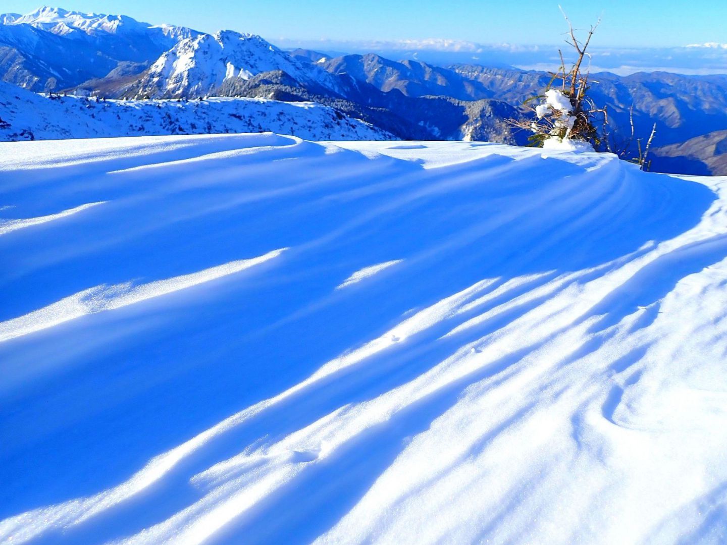 冬の一番の娯楽はスキーツアー